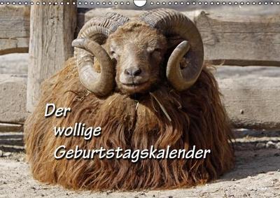 Der wollige Geburtstagskalender (Wandkalender immerwährend DIN A3 quer)