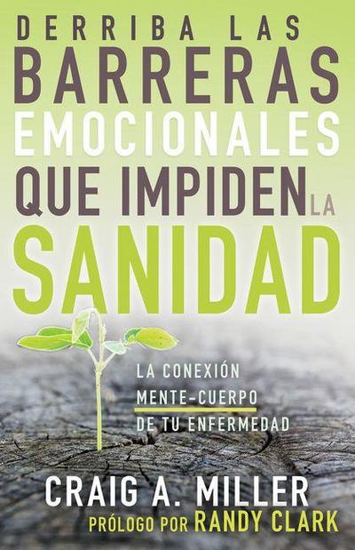 Derriba Las Barreras Emocionales Que Impiden La Sanidad