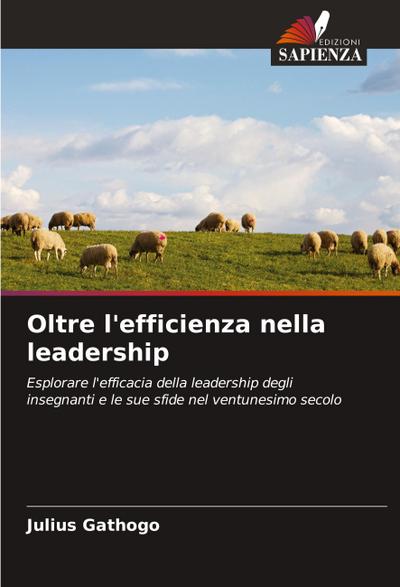 Oltre l’efficienza nella leadership