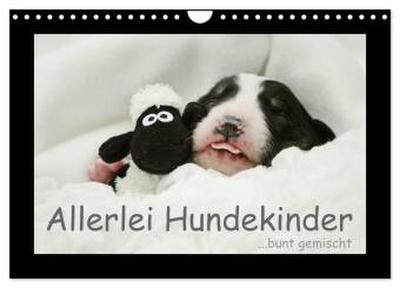 Allerlei Hundekinder (Wandkalender 2026 DIN A4 quer), CALVENDO Monatskalender