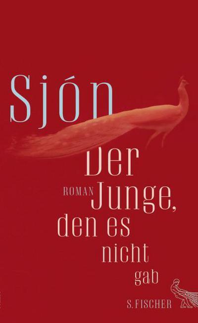 Der Junge, den es nicht gab