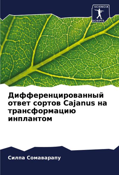 Differencirowannyj otwet sortow Cajanus na transformaciü inplantom