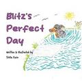 Blitz’s Perfect Day