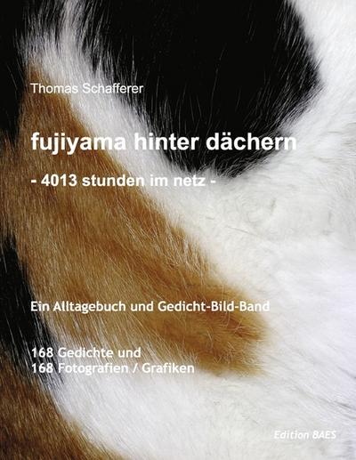 fujiyama hinter dächern.
