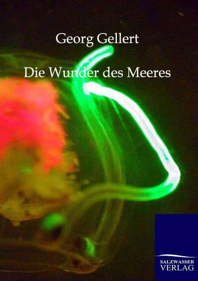 Die Wunder des Meeres