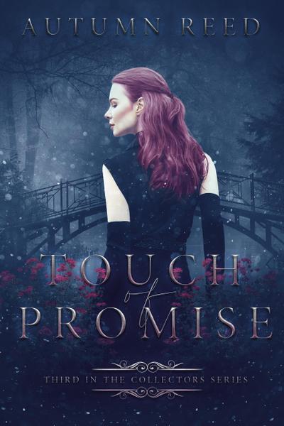 Touch of Promise (The Collectors, #3)
