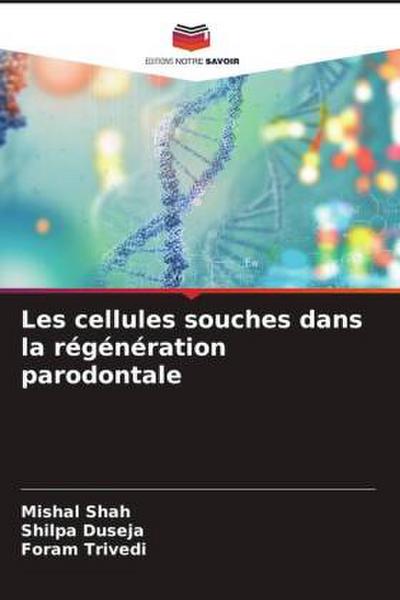Les cellules souches dans la régénération parodontale