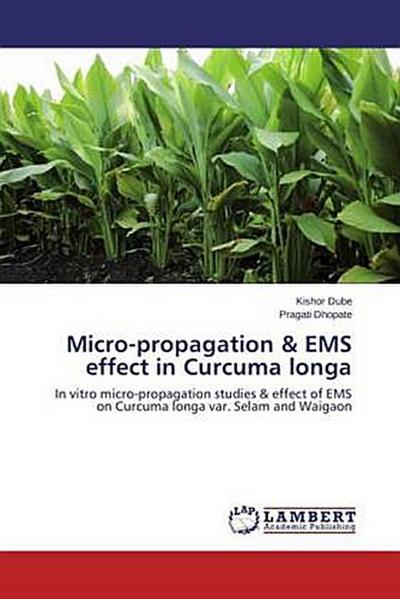 Micro-propagation & EMS effect in Curcuma longa