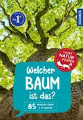 Welcher Baum ist das?