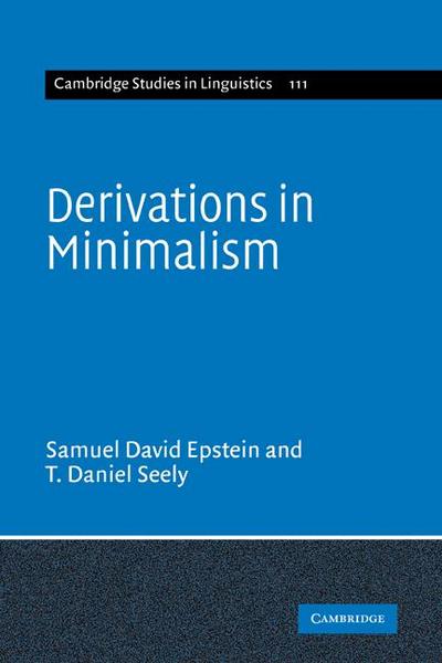 Derivations in Minimalism