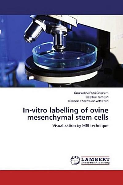 In-vitro labelling of ovine mesenchymal stem cells