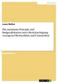 Flat maximum Principle und Budgetallokation unter 