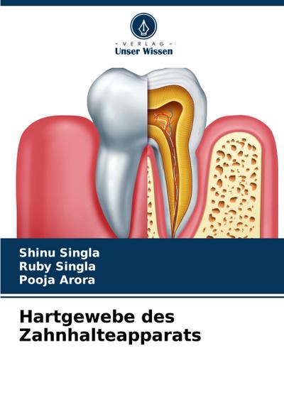Hartgewebe des Zahnhalteapparats