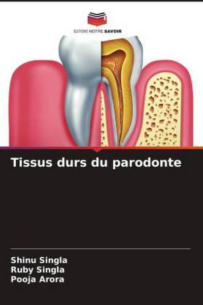 Tissus durs du parodonte