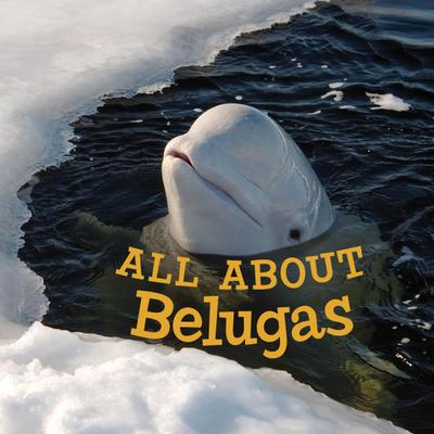 Hoffman, J: All about Belugas