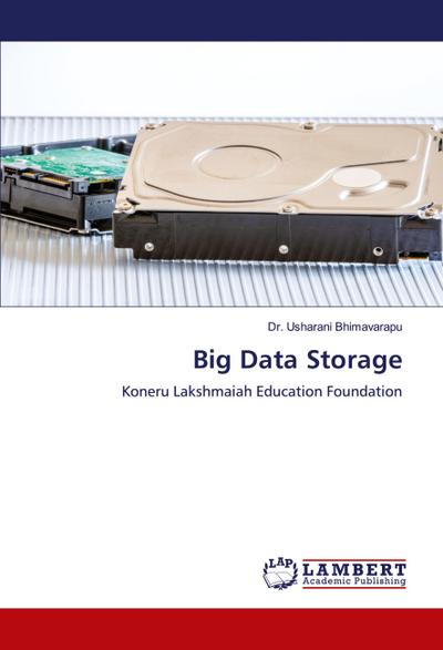 Big Data Storage