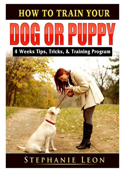 How to Train Your Dog or Puppy
