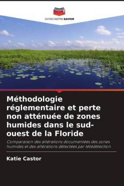 Méthodologie réglementaire et perte non atténuée de zones humides dans le sud-ouest de la Floride