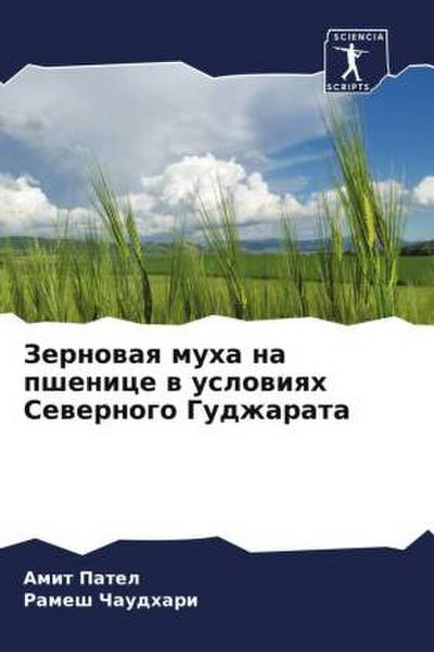 Zernowaq muha na pshenice w uslowiqh Sewernogo Gudzharata