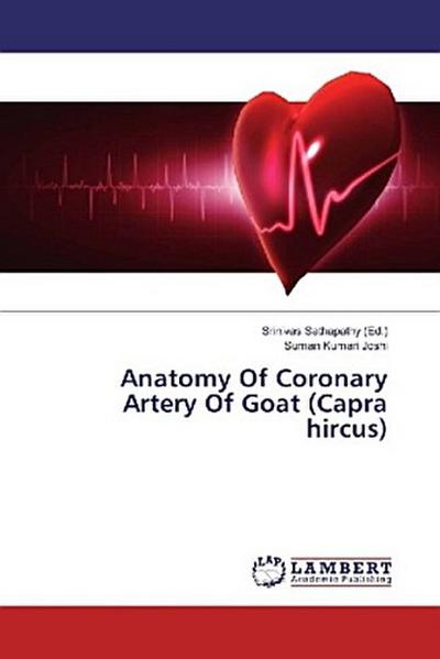 Anatomy Of Coronary Artery Of Goat (Capra hircus)