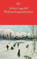 Weihnachtsgeschichten: Mit e. Nachw. hrsg. v. Holger Wolandt (dtv Literatur)