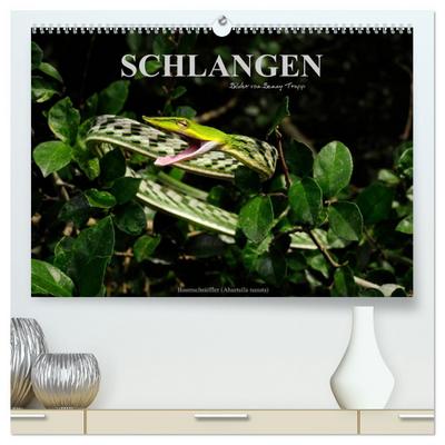 Schlangen (hochwertiger Premium Wandkalender 2026 DIN A2 quer), Kunstdruck in Hochglanz