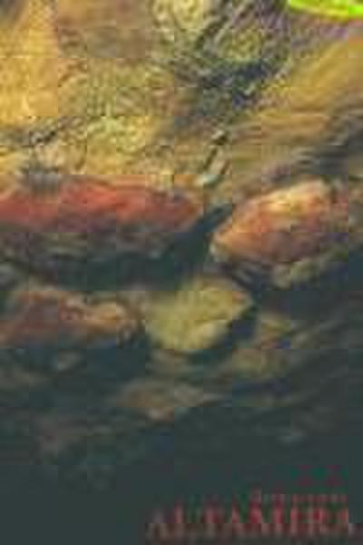 Redescubrir Altamira