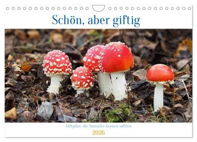 Schön, aber giftig. Giftpilze, die Sammler kennen sollten. (Wandkalender 2026 DIN A4 quer), CALVENDO Monatskalender