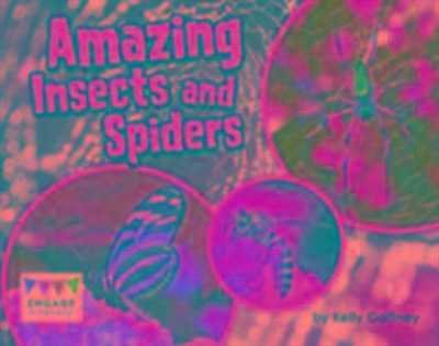 Amazing Insects and Spiders