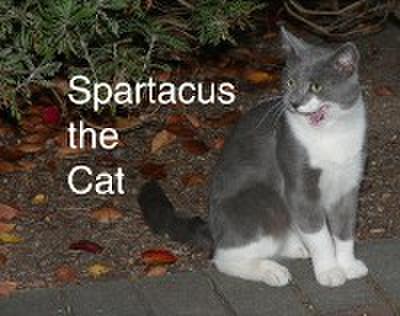 Spartacus the Cat