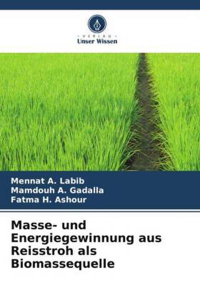 Masse- und Energiegewinnung aus Reisstroh als Biomassequelle
