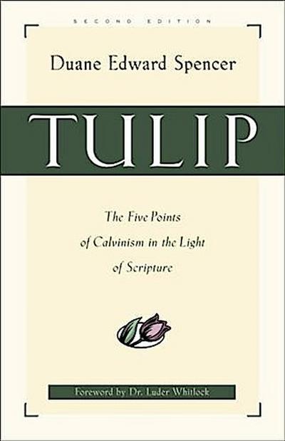 Tulip