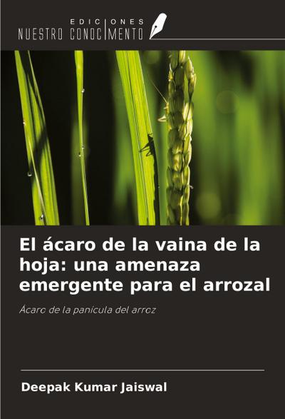 El ácaro de la vaina de la hoja: una amenaza emergente para el arrozal