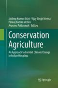 Conservation Agriculture