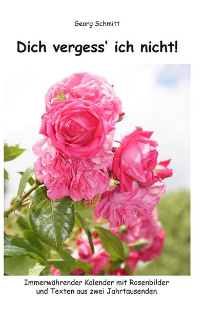 Dich vergess’ ich nicht!