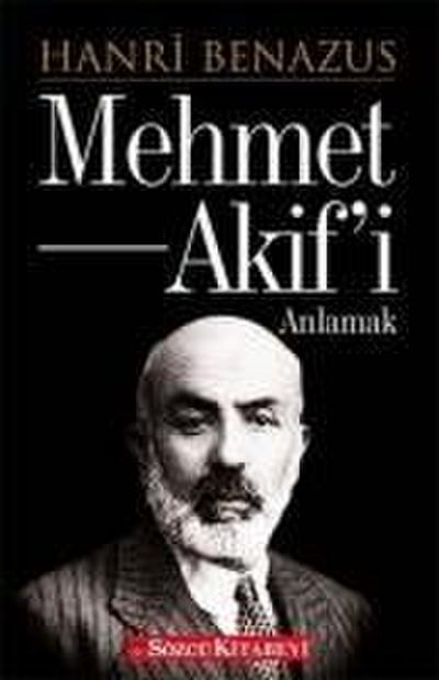 Mehmet Akifi Anlamak