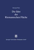 Die Idee der Riemannschen Fläche