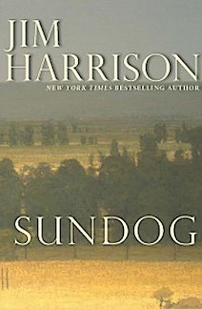 Sundog