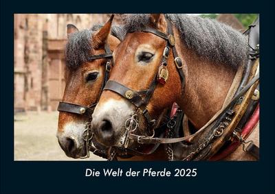 Die Welt der Pferde 2025 Fotokalender DIN A4