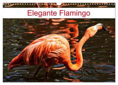 Elegante Flamingo (Wandkalender 2026 DIN A3 quer), CALVENDO Monatskalender