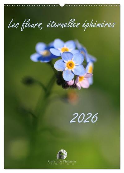Les fleurs, éternelles éphemères (Calendrier mural 2026 DIN A2 horizontal), CALVENDO calendrier mensuel