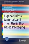Lignocellulosic Materials and Their Use in Bio-bas