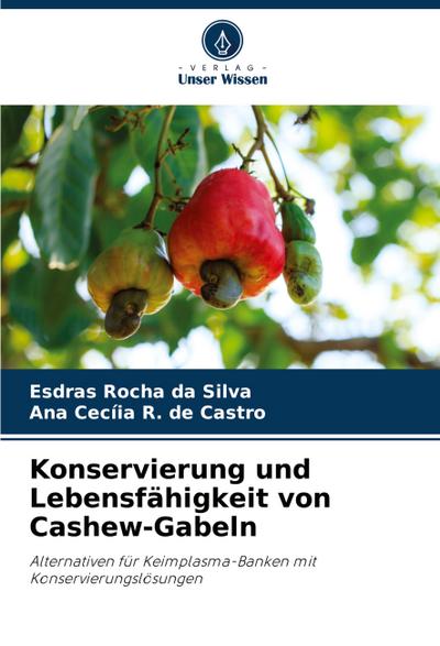 Konservierung und Lebensfähigkeit von Cashew-Gabeln