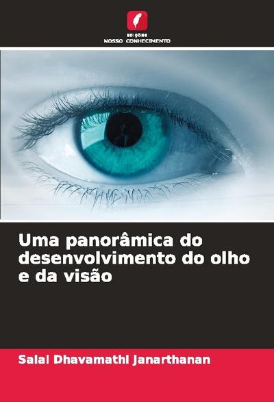 Uma panorâmica do desenvolvimento do olho e da visão