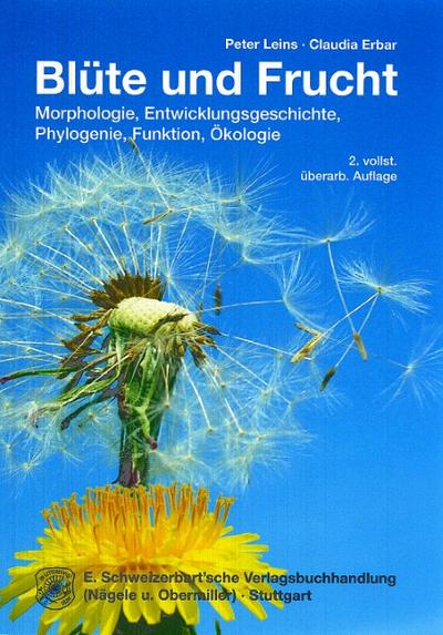 Blüte und Frucht