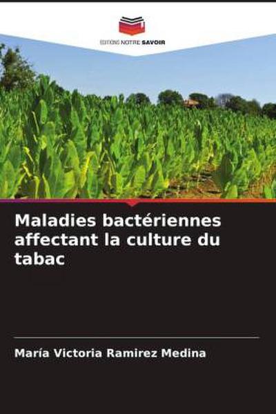 Maladies bactériennes affectant la culture du tabac