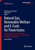 Natural Gas, Renewable Methan and E-Fuels for Powe