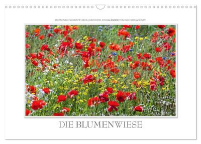 Emotionale Momente: Die Blumenwiese. (Wandkalender 2024 DIN A3 quer), CALVENDO Monatskalender