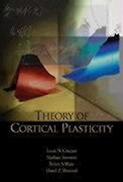 Theory of Cortical Plasticity