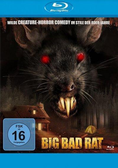 Big Bad Rat